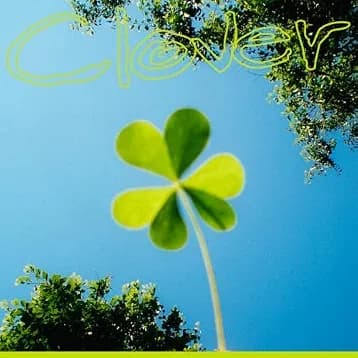 UshioReira - Clover